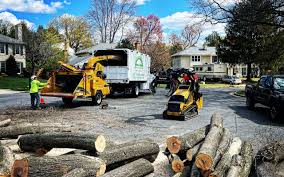 Lawn Grading and Leveling in Shady Hollow, TX